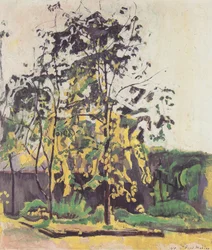 Trees in the Studio Garden